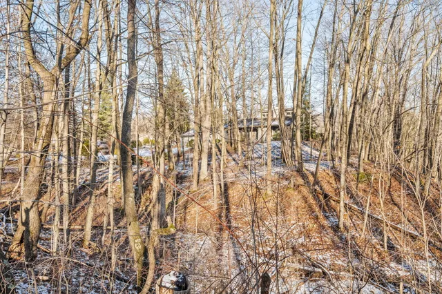 $699,000 | 13855 Belding Road Northeast, Belding, MI 48809