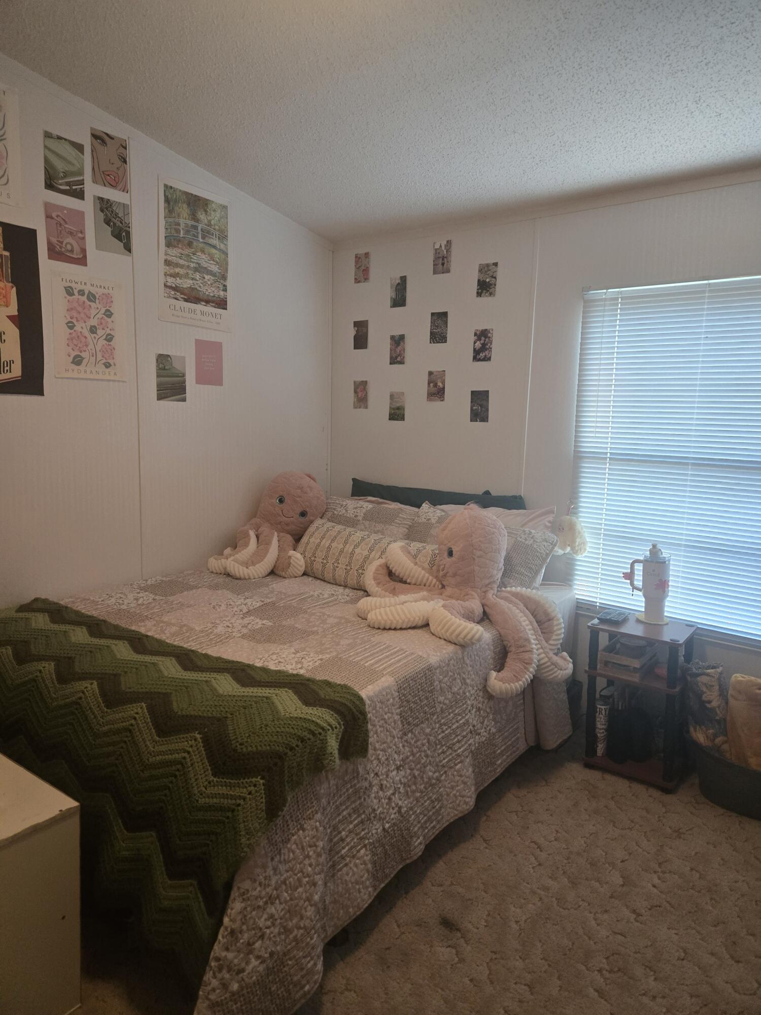 7051 Danburg Road Tignall, GA 30668 - Photo 12 of 14 20251216_164151_resized