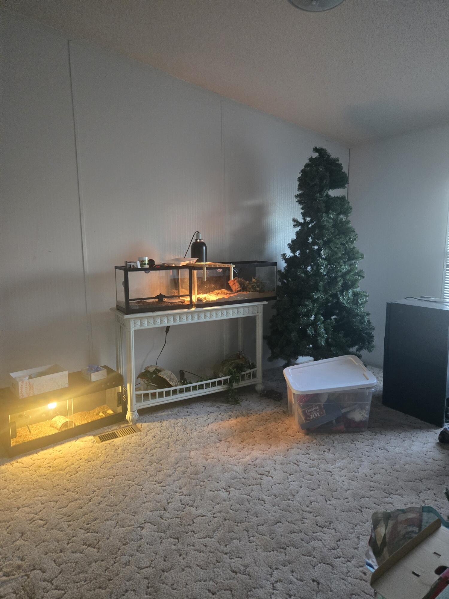 7051 Danburg Road Tignall, GA 30668 - Photo 14 of 14 20251216_164242_resized