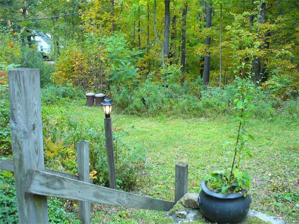 17 North Fitzwilliam Road Royalston, MA 01368 - Photo 11 of 12 a view of a backyard with fountain plants and wooden fence