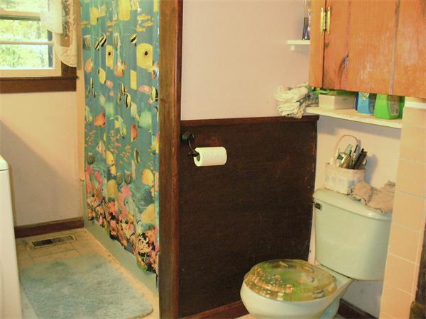 17 North Fitzwilliam Road Royalston, MA 01368 - Photo 9 of 12 a bathroom with a toilet and shower curtain