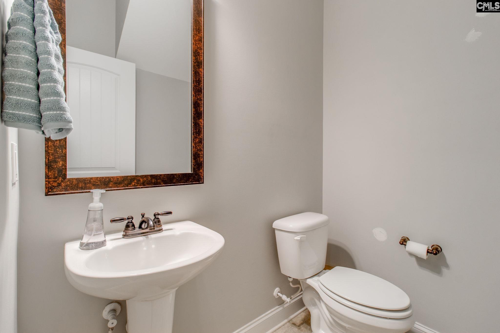 141 Cherokee Pond Court Lexington, SC 29072 - Photo 14 of 52