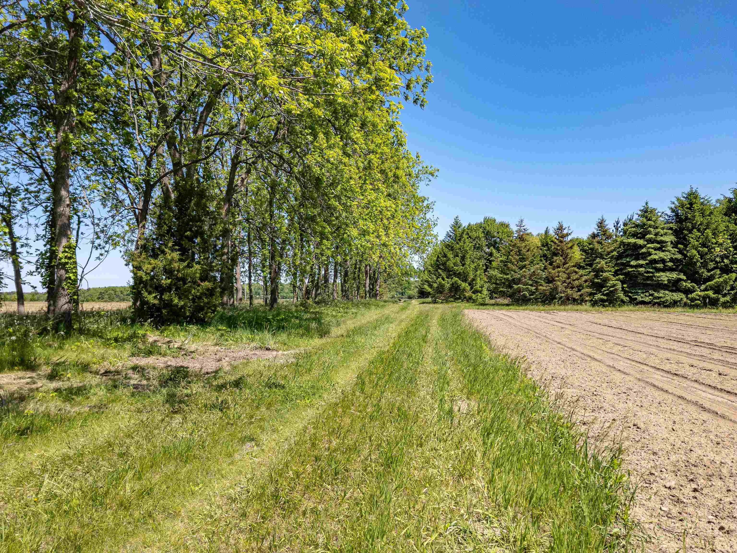 N6614 Ziebell Road Jefferson, WI 53549 - Photo 7 of 9