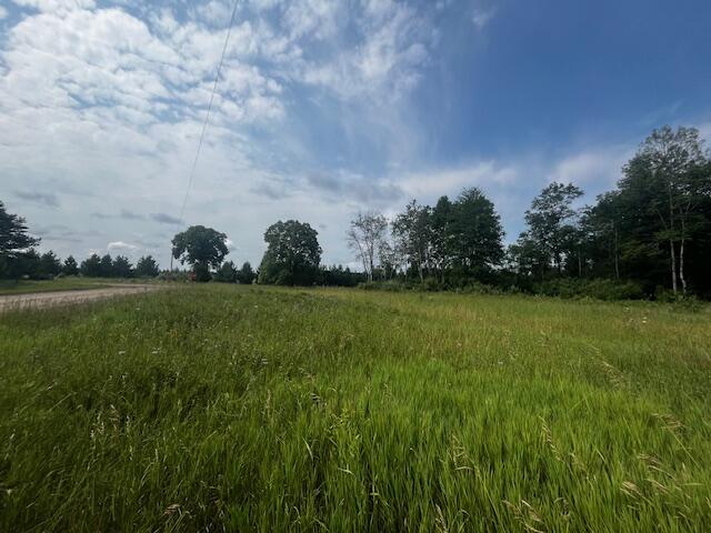 17 Mile Road Bitely, MI 49309 - Photo 4 of 23 IMG_6262
