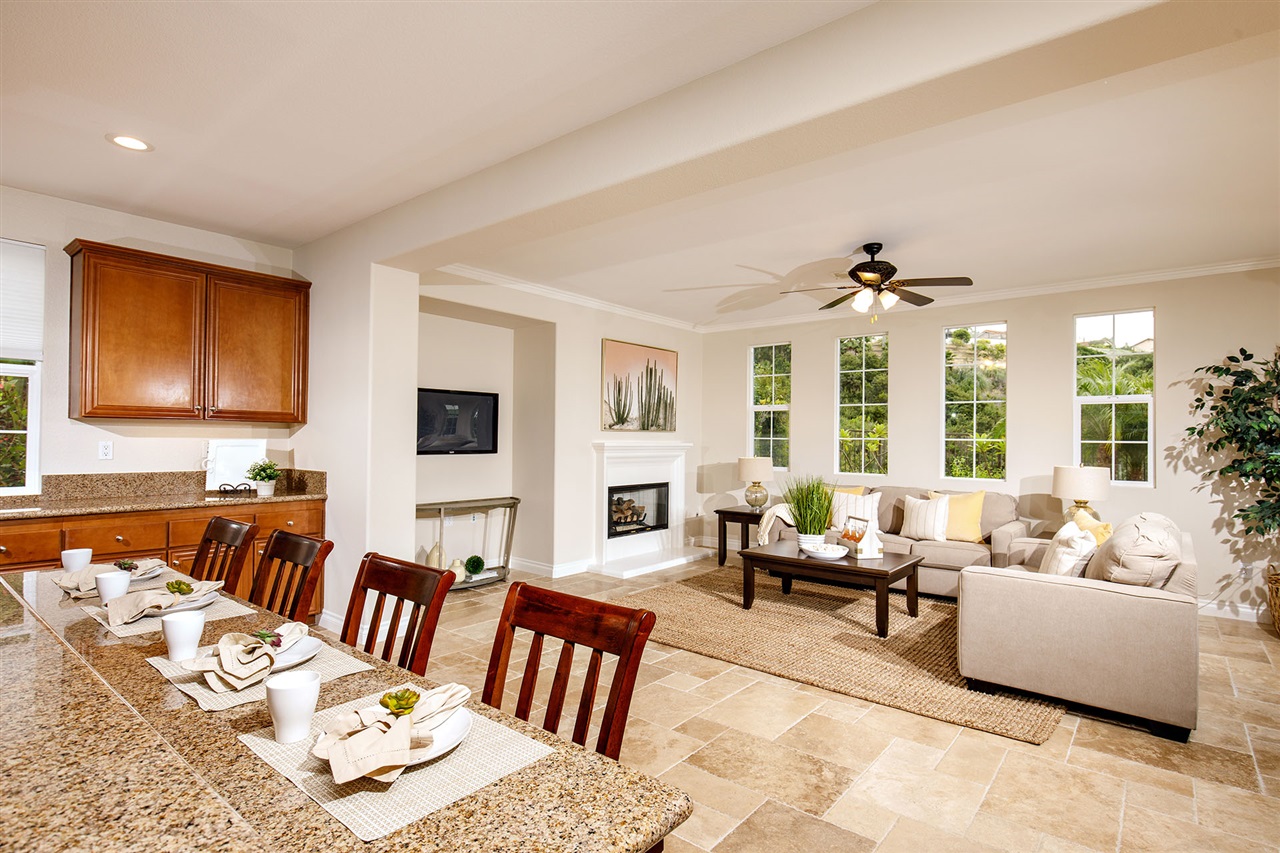 2375 Lapis Road Carlsbad, CA 92009 - Photo 8 of 25