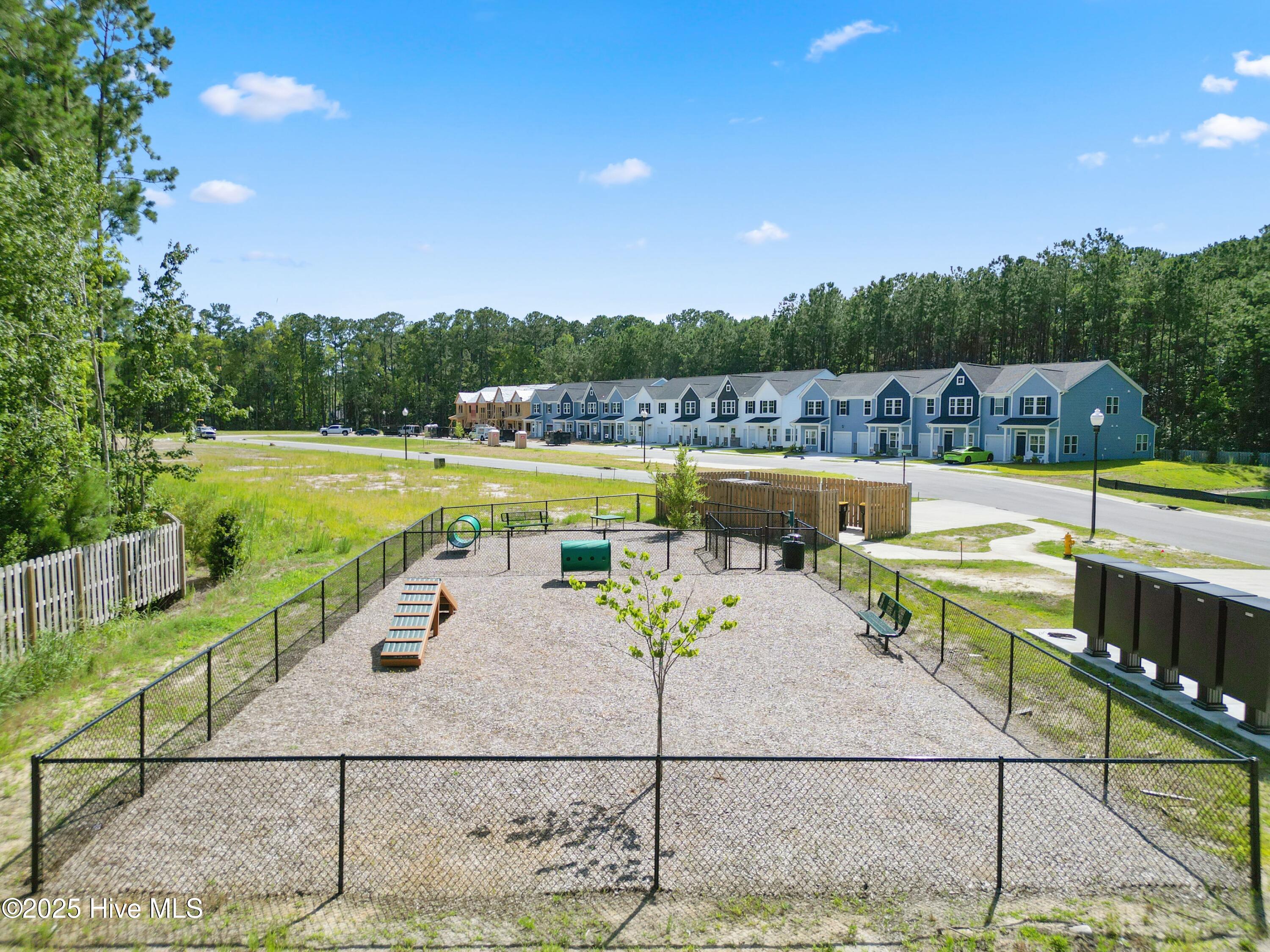 824 Palm Frond Way Calabash, NC 28467 - Photo 5 of 31 dog park