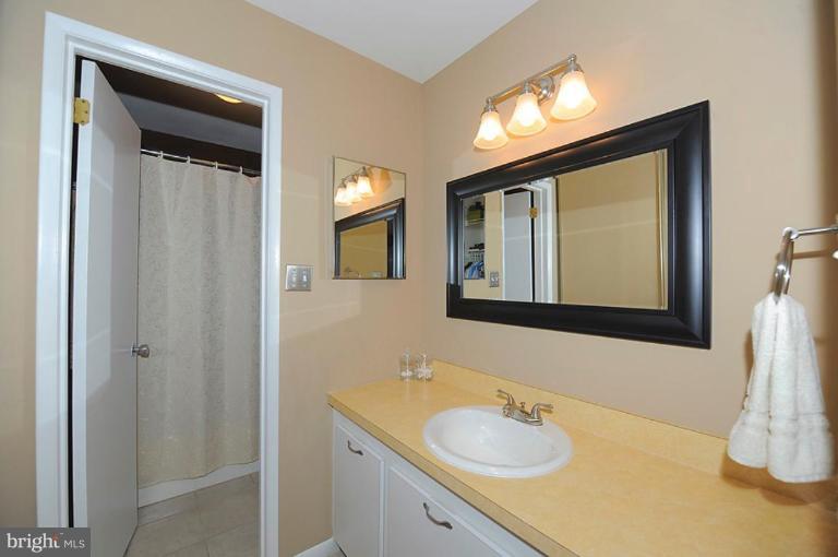 11608 Windbluff Court, Unit 7/007 Reston, VA 20191 - Photo 13 of 19 Master Bath #2
