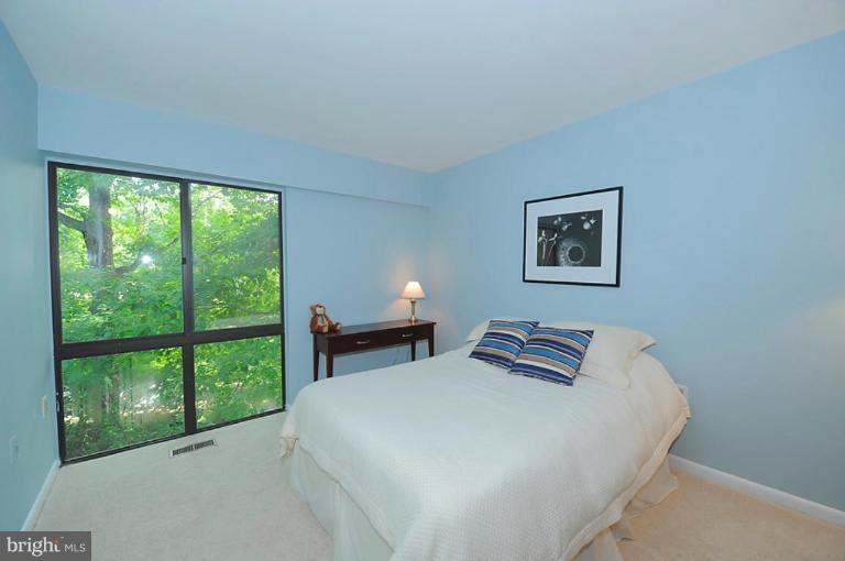 11608 Windbluff Court, Unit 7/007 Reston, VA 20191 - Photo 15 of 19 Other #1