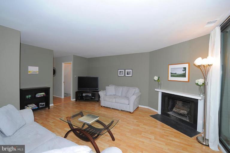11608 Windbluff Court, Unit 7/007 Reston, VA 20191 - Photo 5 of 19 Living Room #3