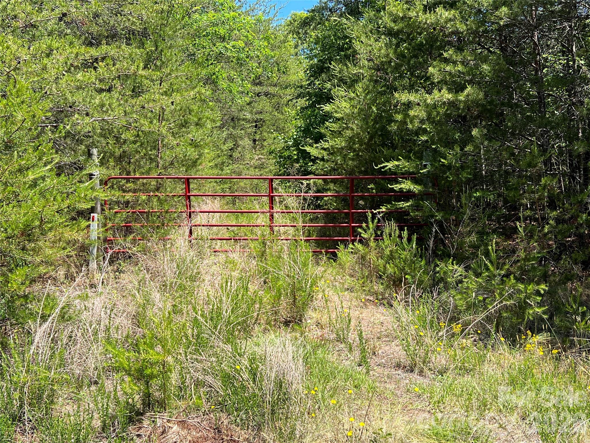 0 Luckadoo Mountain Road, Unit 177 Bostic, NC 28018 - Photo 2 of 11