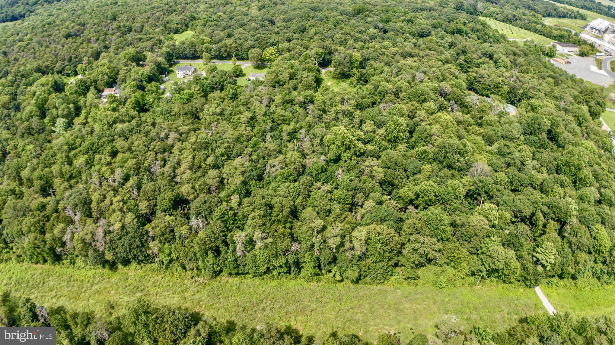 306 Old Mill Road Conowingo, MD 21918 - Photo 12 of 12