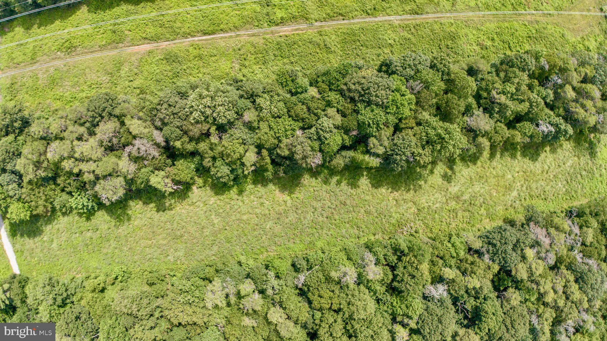 306 Old Mill Road Conowingo, MD 21918 - Photo 4 of 12