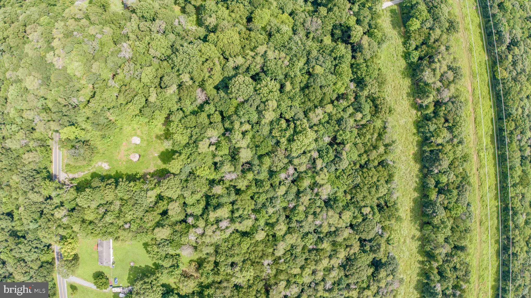 306 Old Mill Road Conowingo, MD 21918 - Photo 8 of 12