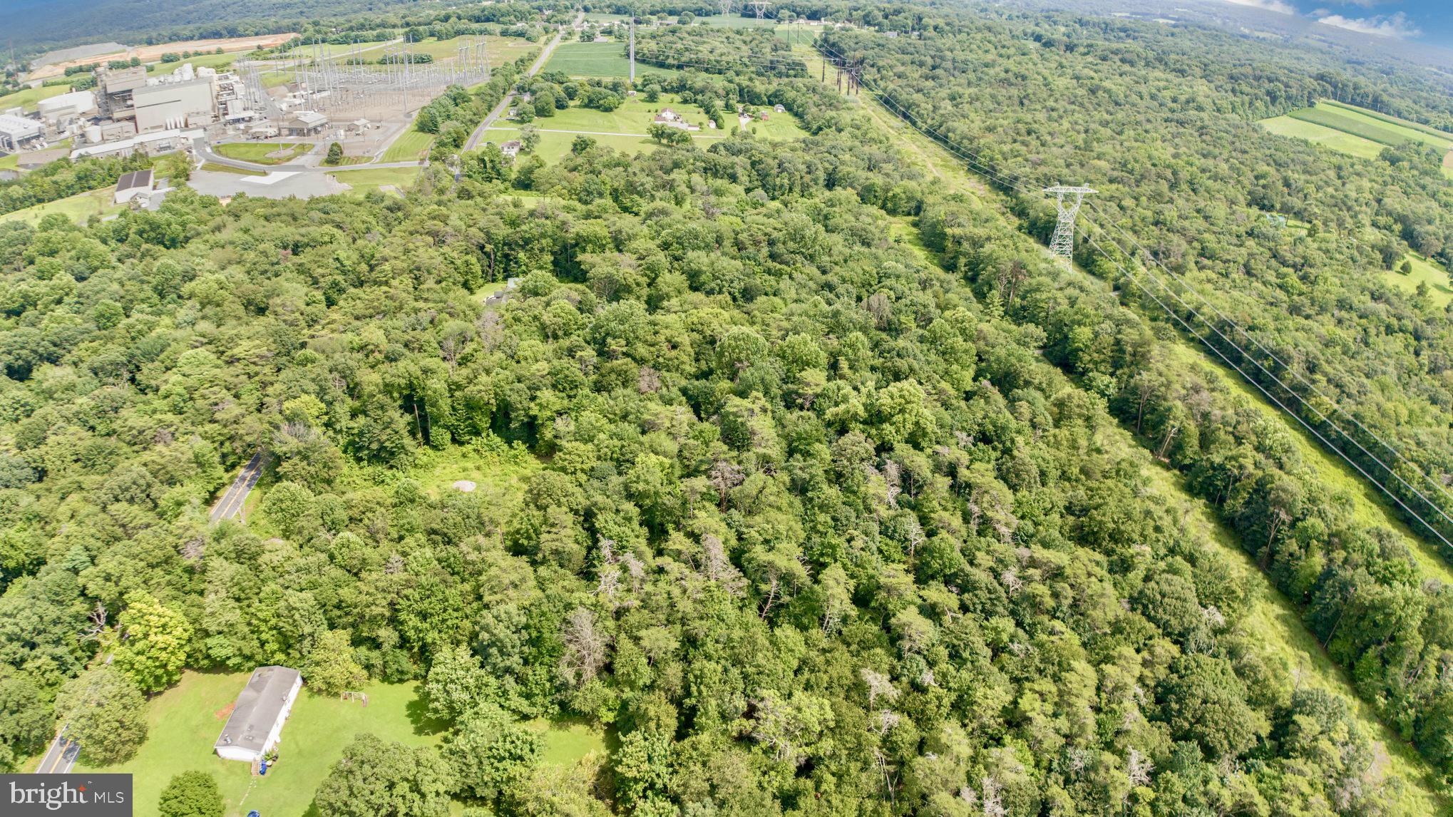 306 Old Mill Road Conowingo, MD 21918 - Photo 9 of 12