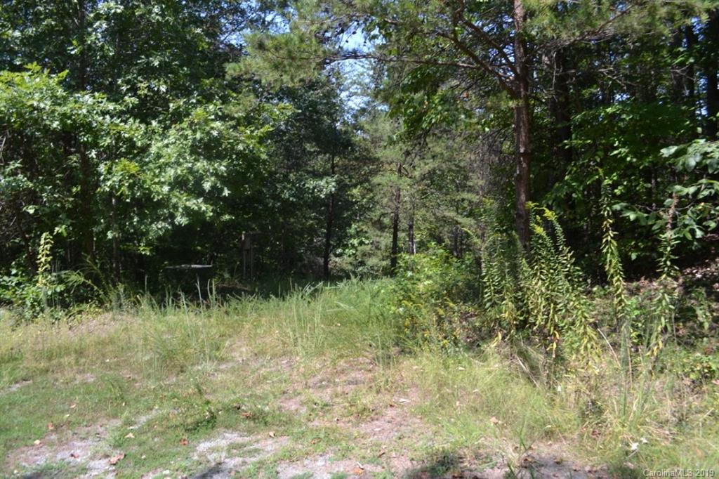 288 Observation Ridge, Unit 27 Rutherfordton, NC 28139 - Photo 8 of 15