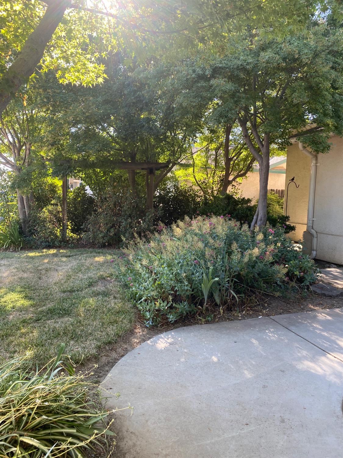 609 Merlot Avenue Madera, CA 93637 - Photo 44 of 45 a view of a garden