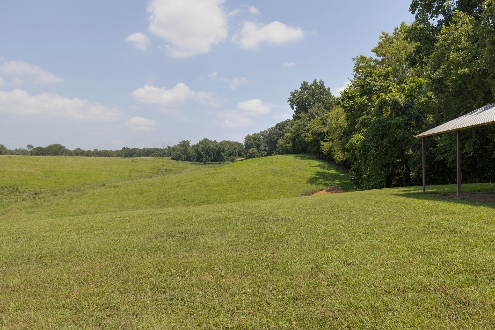 3165 Les Chappell Road Spring Hill, TN 37174 - Photo 42 of 70