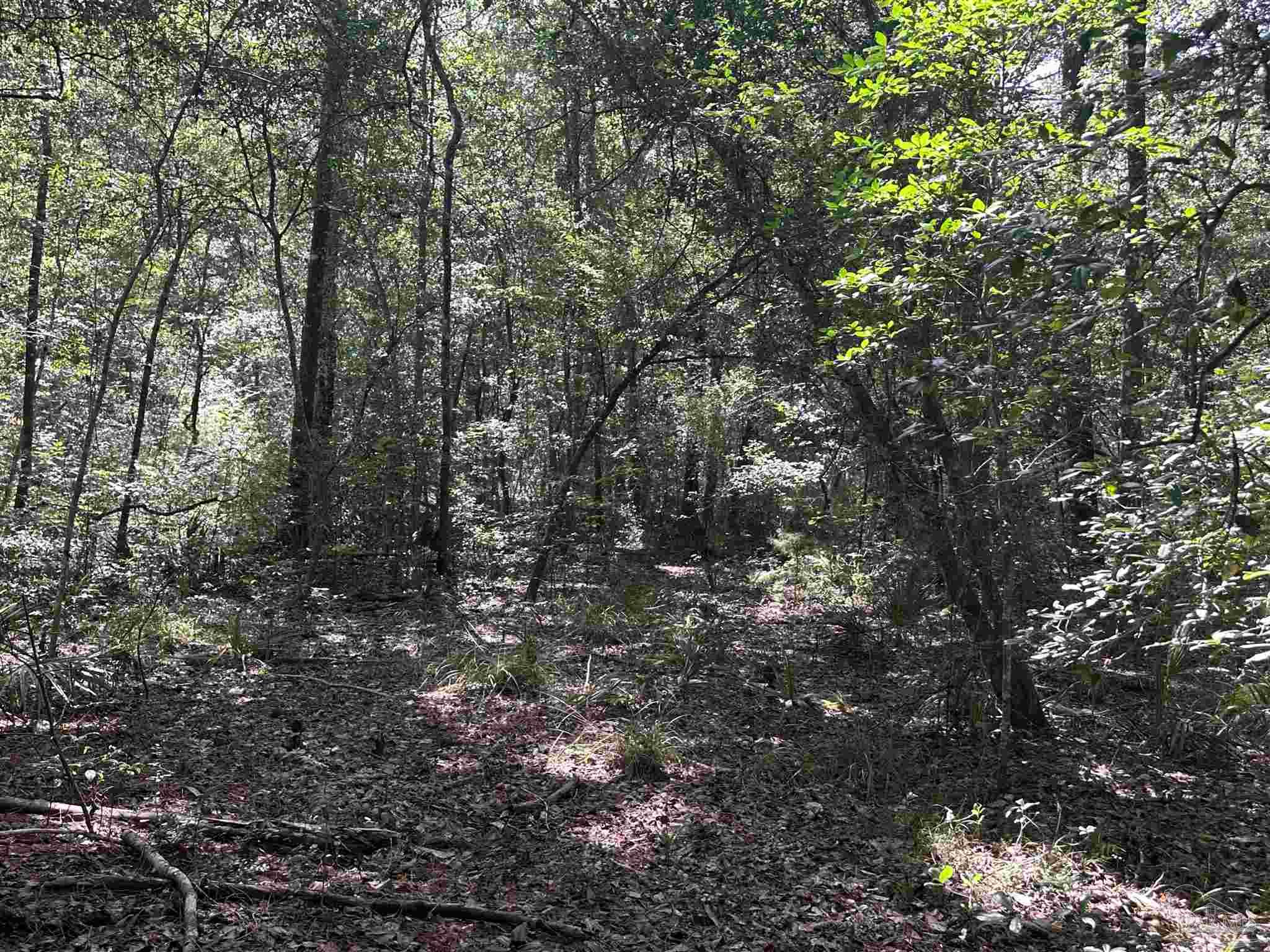 2 Elaine Avenue Milton, FL 32583 - Photo 5 of 7