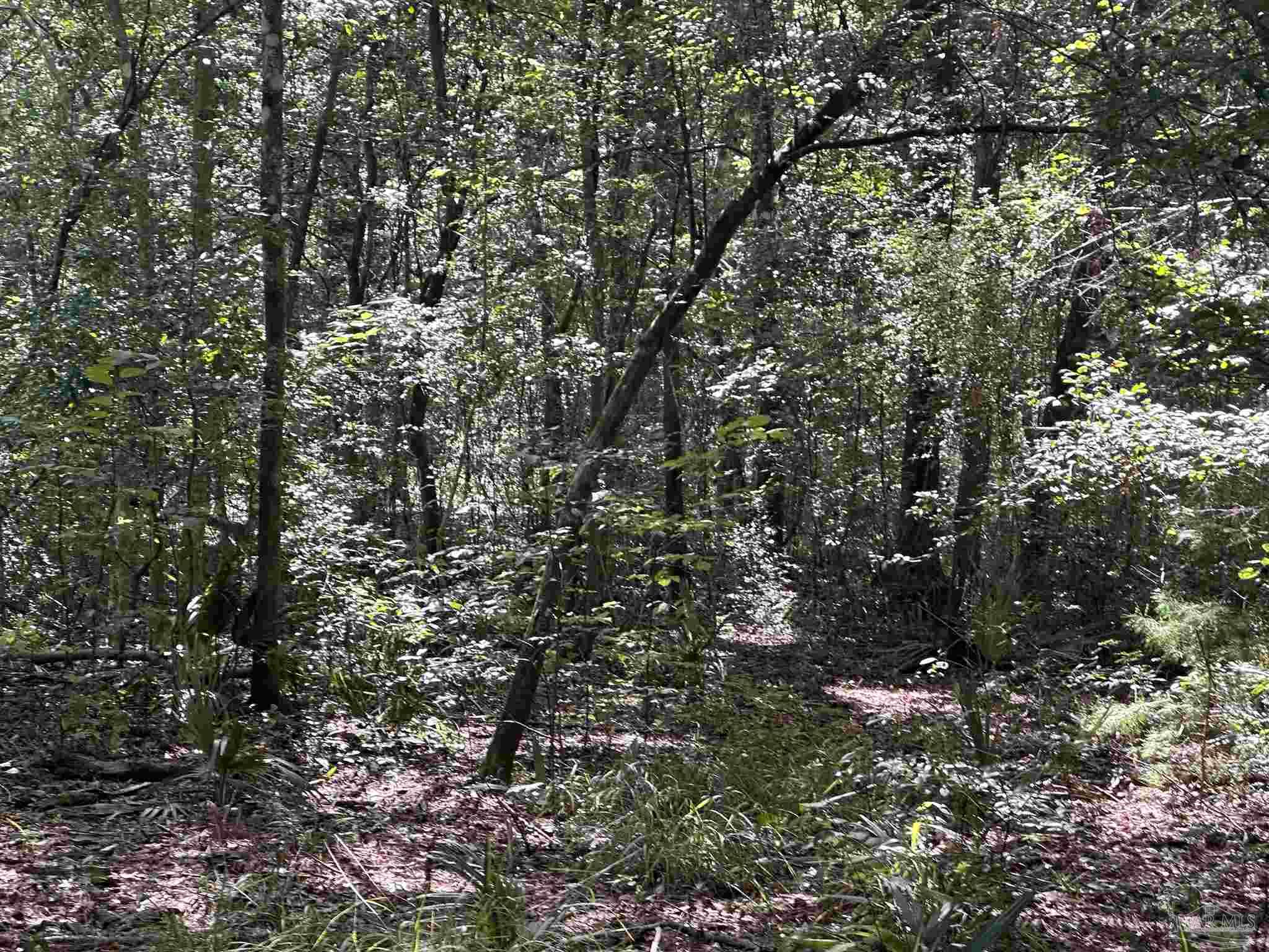 2 Elaine Avenue Milton, FL 32583 - Photo 6 of 7