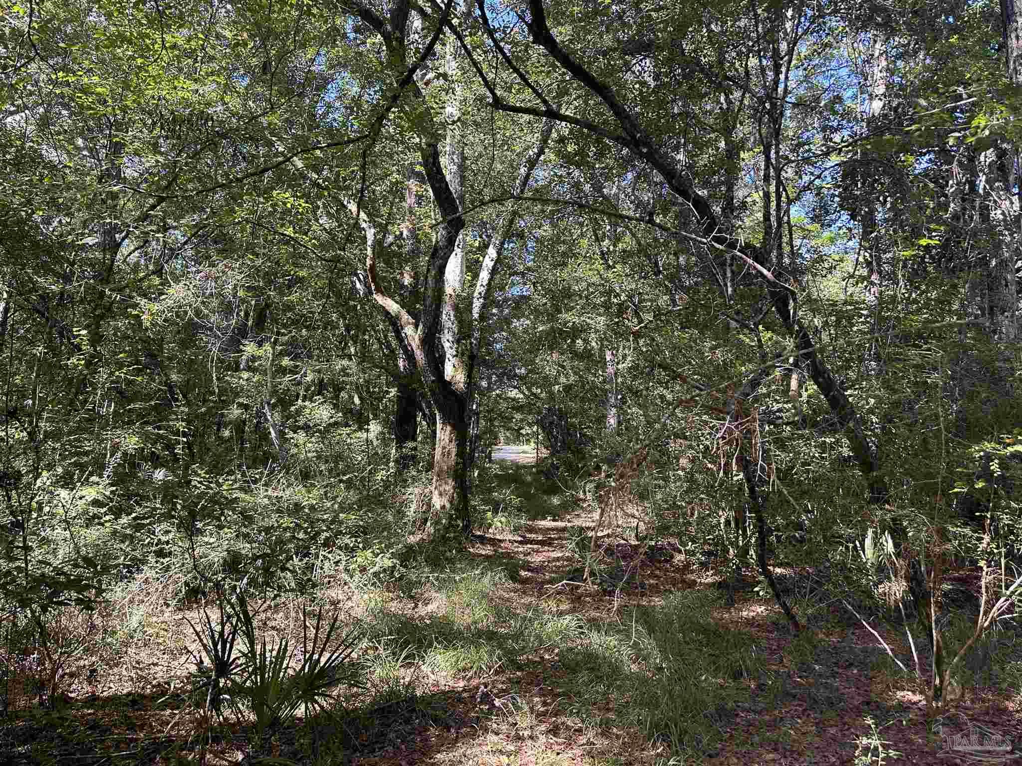 2 Elaine Avenue Milton, FL 32583 - Photo 7 of 7