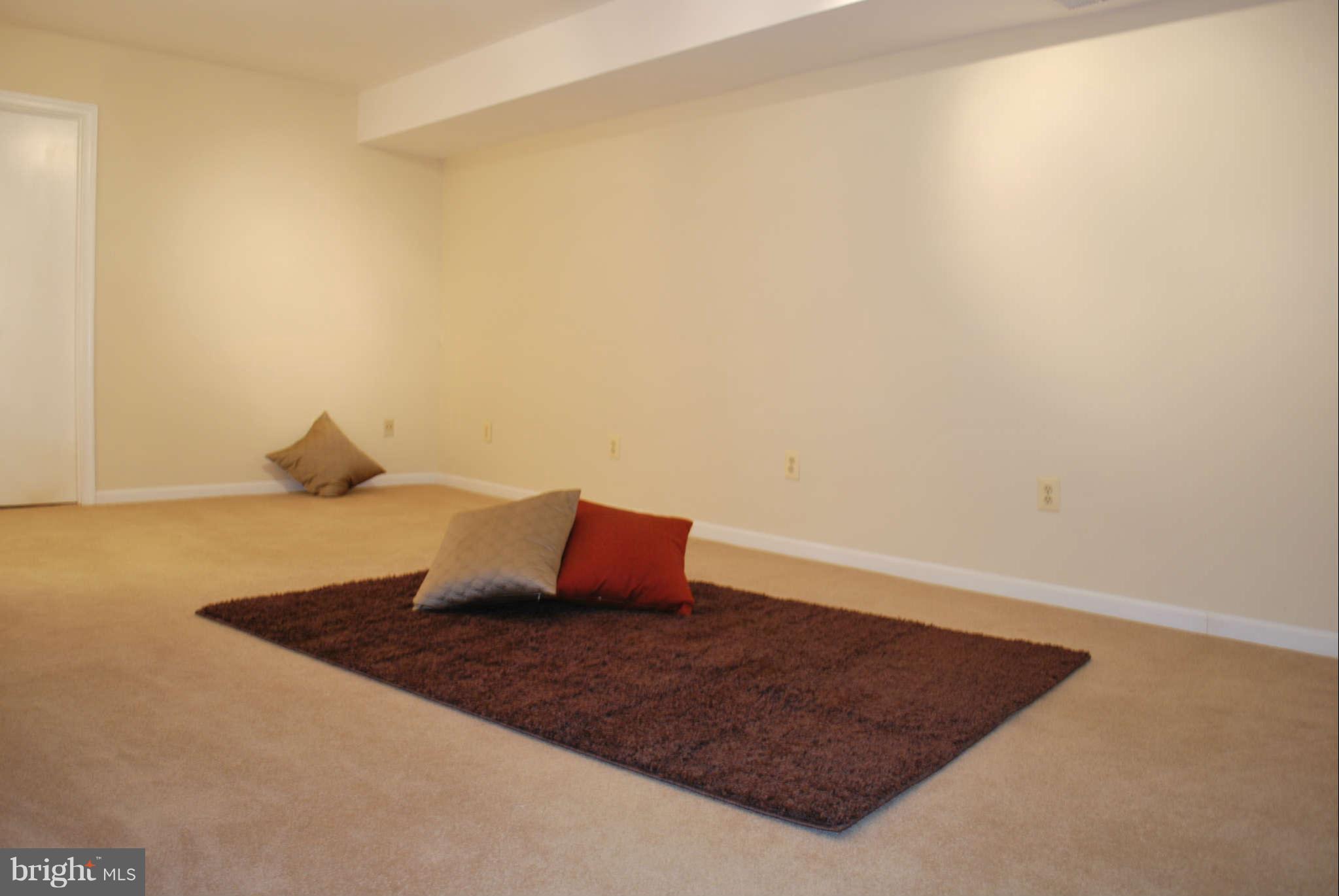 3811 9th Road South Arlington, VA 22204 - Photo 18 of 20 Family Room