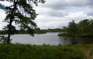 7227 Clover Road Long Pond, PA 18334 - Photo 3 of 7 lake