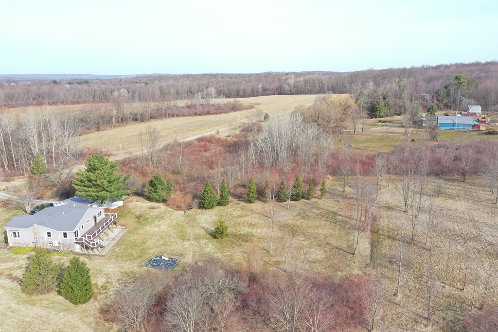 17031 Tarbell Road Union City, PA 16438 - Photo 2 of 54
