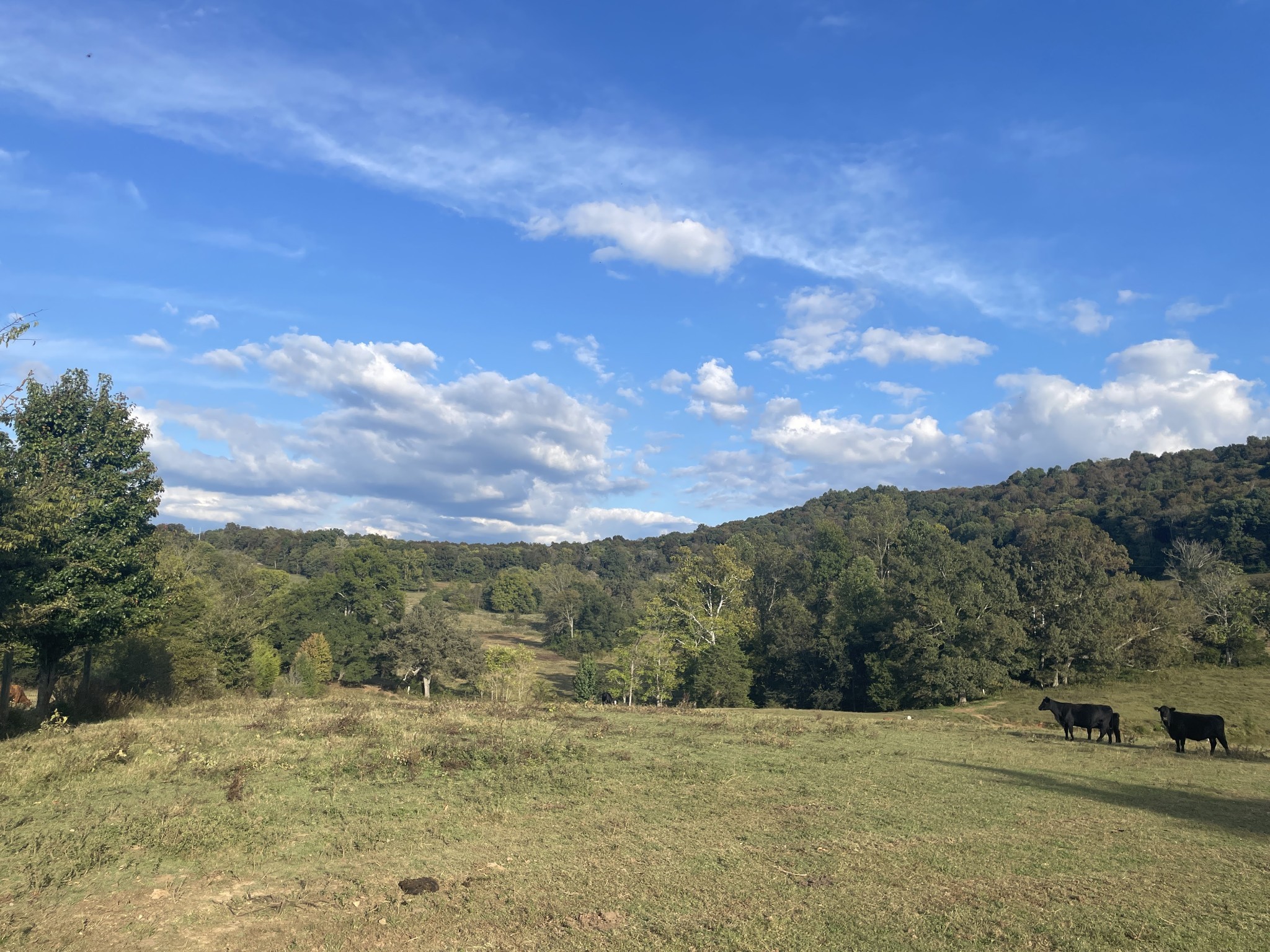 1380 Conrad Templeton Road Quebeck, TN 38579 - Photo 10 of 28 Gallery Image 10