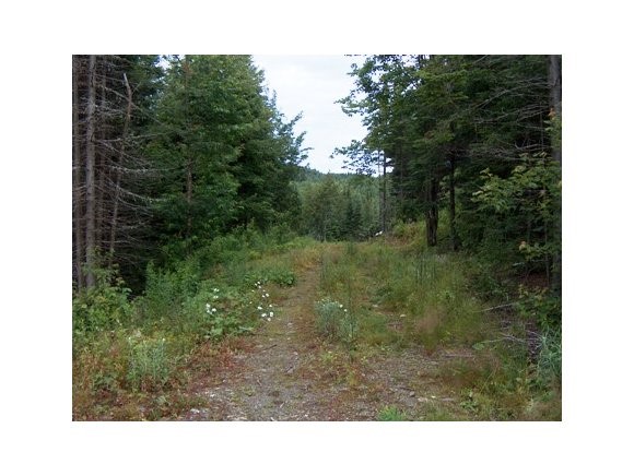 40-19 Old Barn Road Clarksville, NH 03592 - Photo 1 of 1 Gallery Image 1