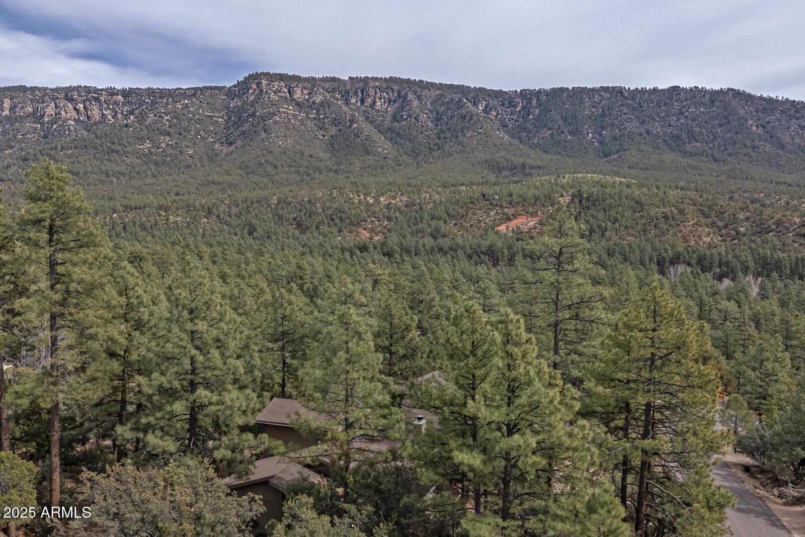 5076 Juniper Loop Pine, AZ 85544 - Photo 45 of 68 a view of a dry yard with an ocean view