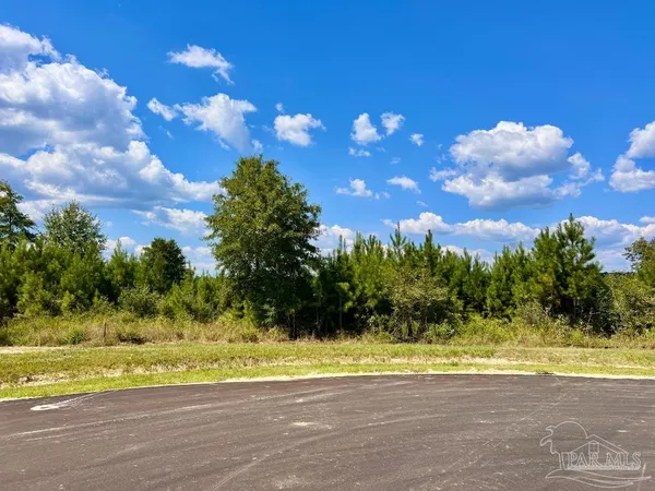 a view of a yard with an tree