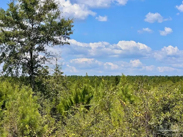 $190,000 | Lot 14 Morgans Branch, Molino, FL 32577