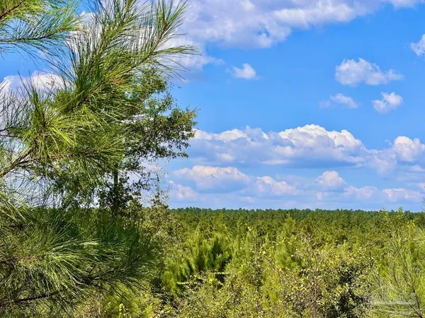 $190,000 | Lot 14 Morgans Branch, Molino, FL 32577