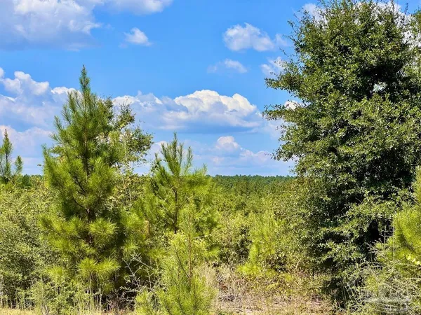 $190,000 | Lot 14 Morgans Branch, Molino, FL 32577