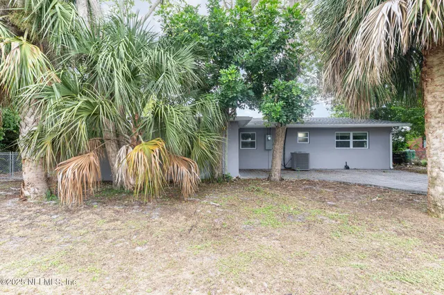 a view of a yard with plants and trees