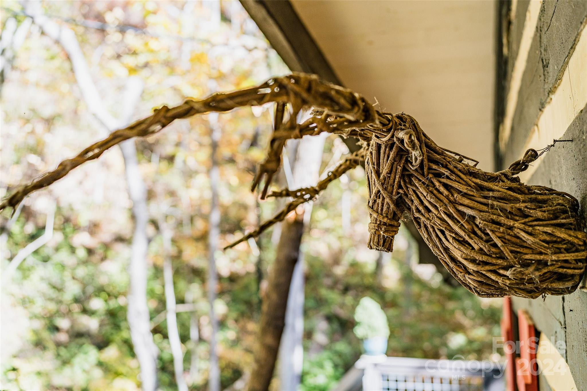 62 Weeping Cherry Forest Road Fairview, NC 28730 - Photo 21 of 48 a picture of a tree