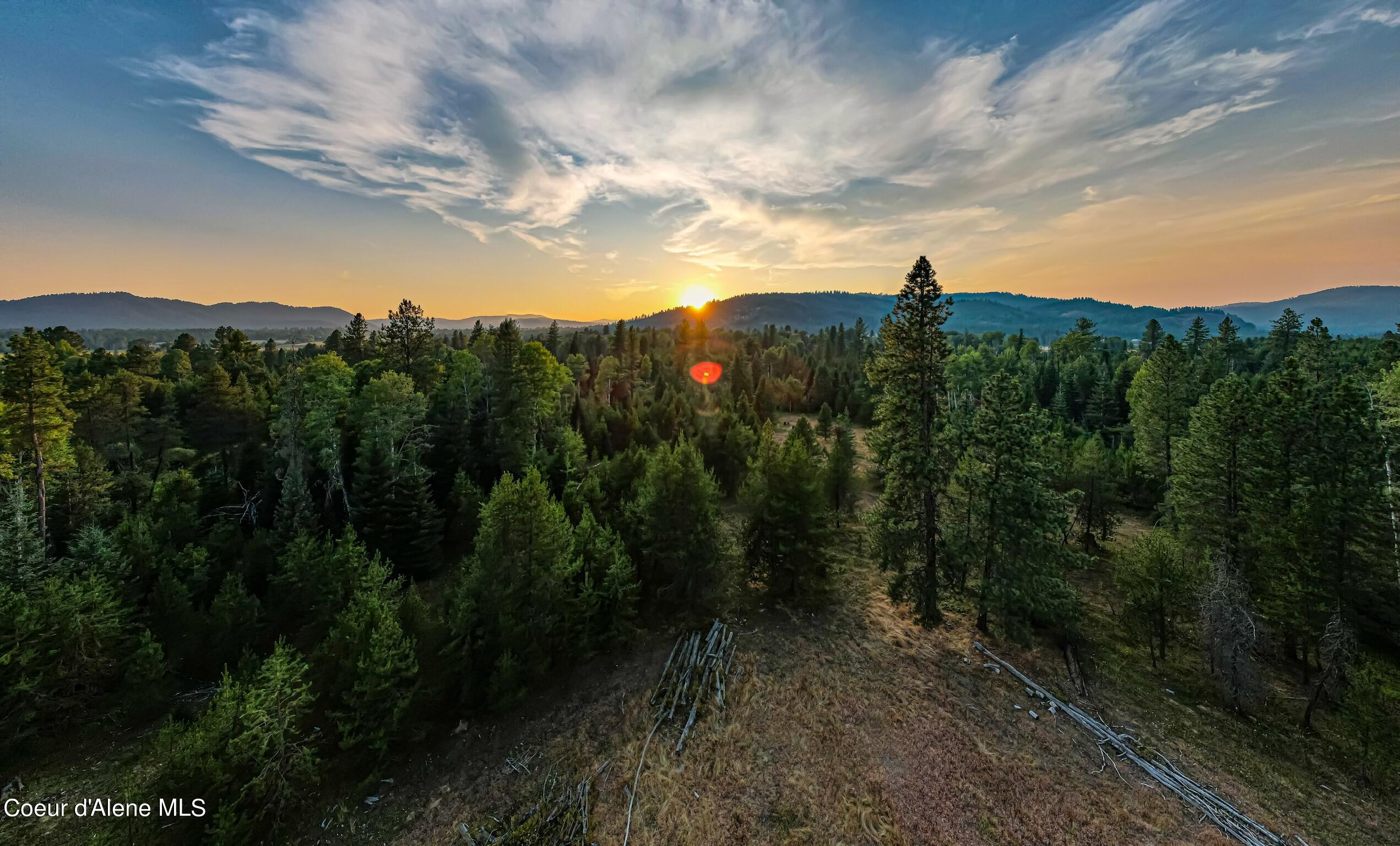 50 West Acres Peninsula Road Priest River, ID 83856 - Photo 2 of 7 79.5+acres