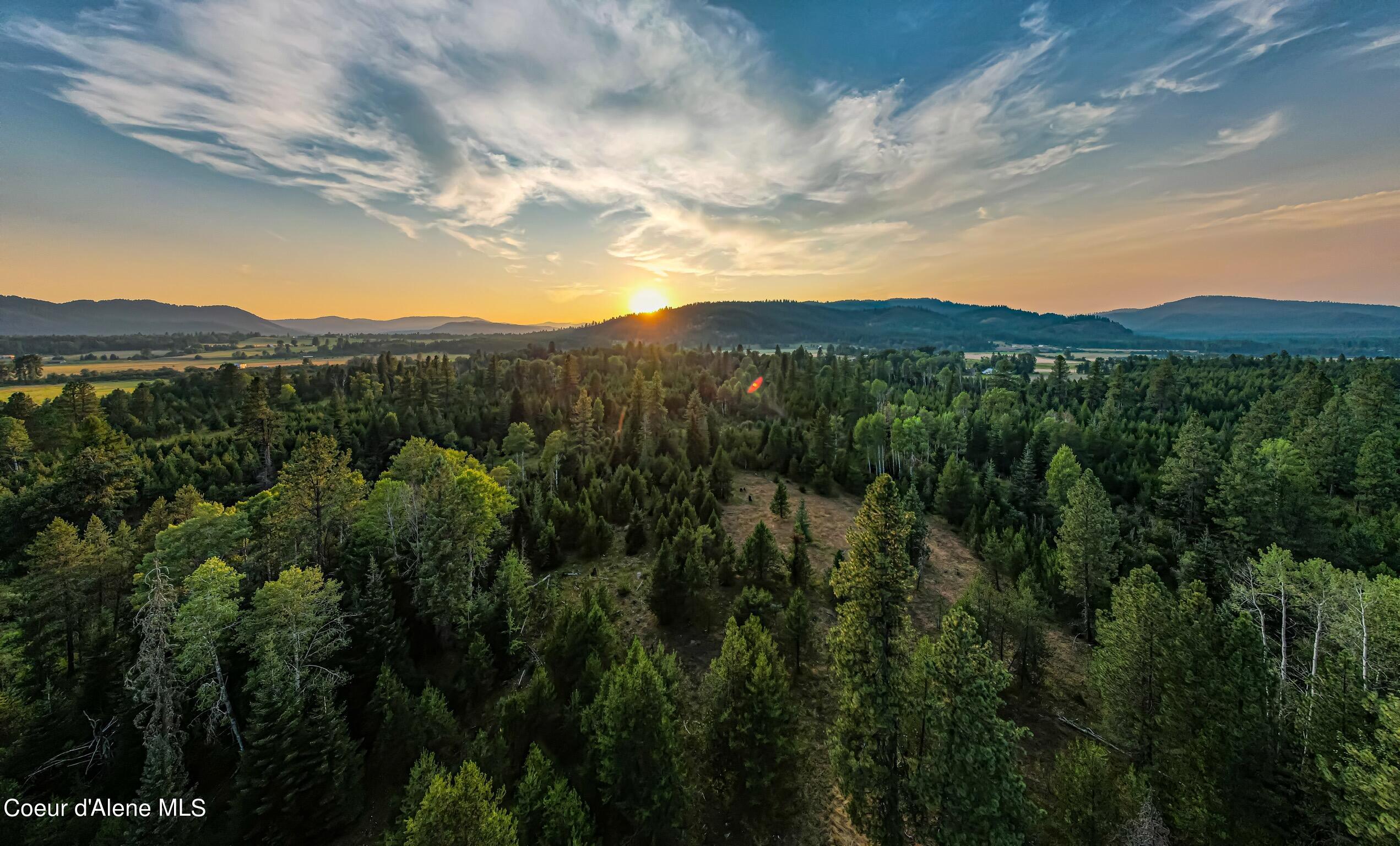 50 West Acres Peninsula Road Priest River, ID 83856 - Photo 3 of 7 Level, sloping and treed