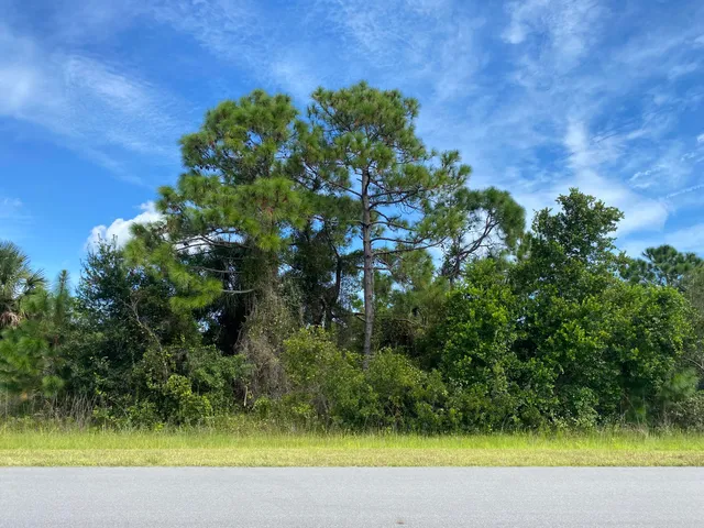 a view of a yard with a tree