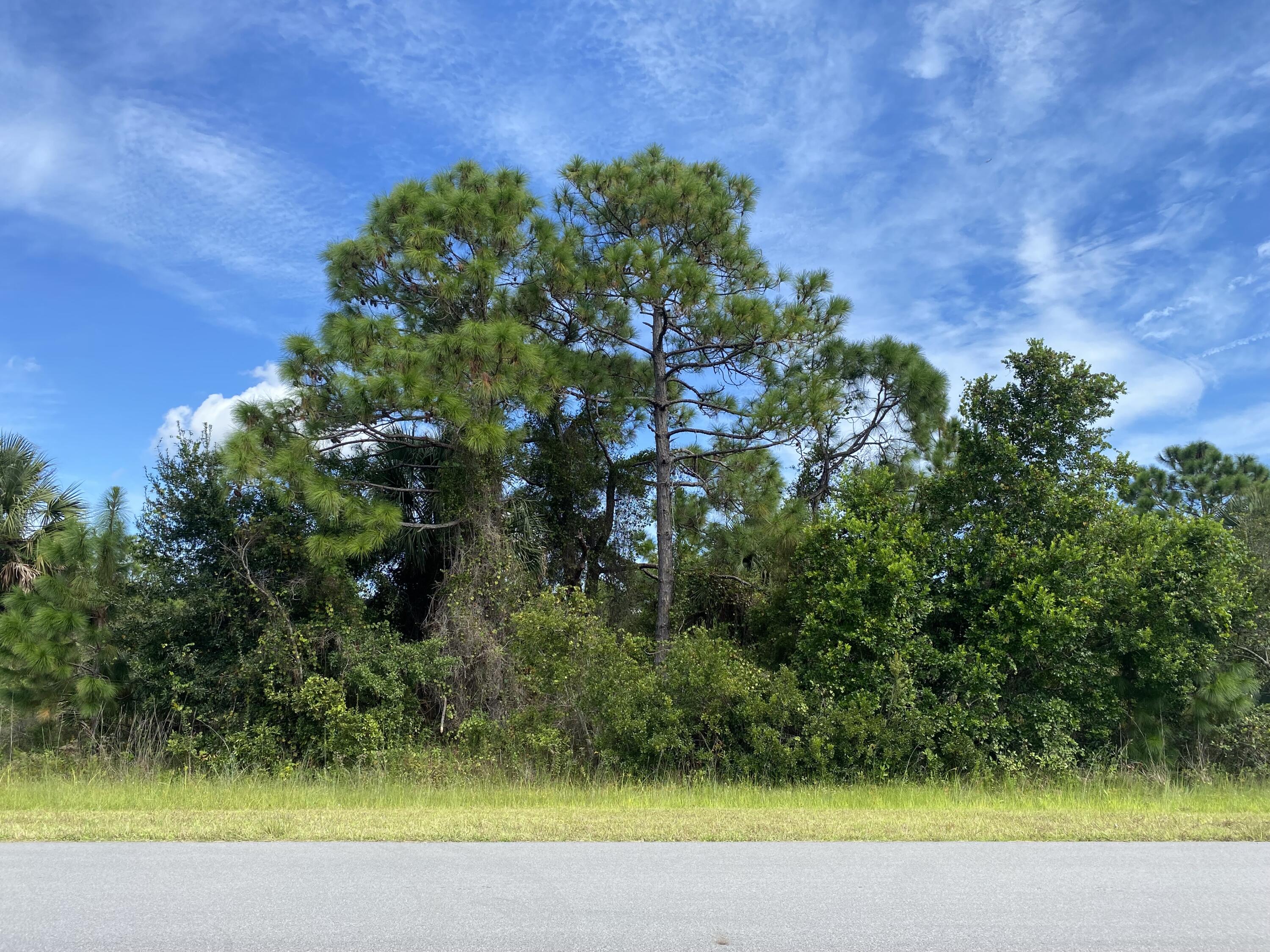 192 Deer Run Road Palm Bay, FL 32909 - Photo 7 of 7 a view of a yard with a tree