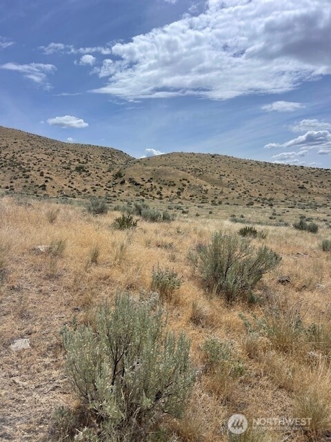0 Lot 1 Bill Shaw Road Pateros, WA 98846 - Photo 11 of 23