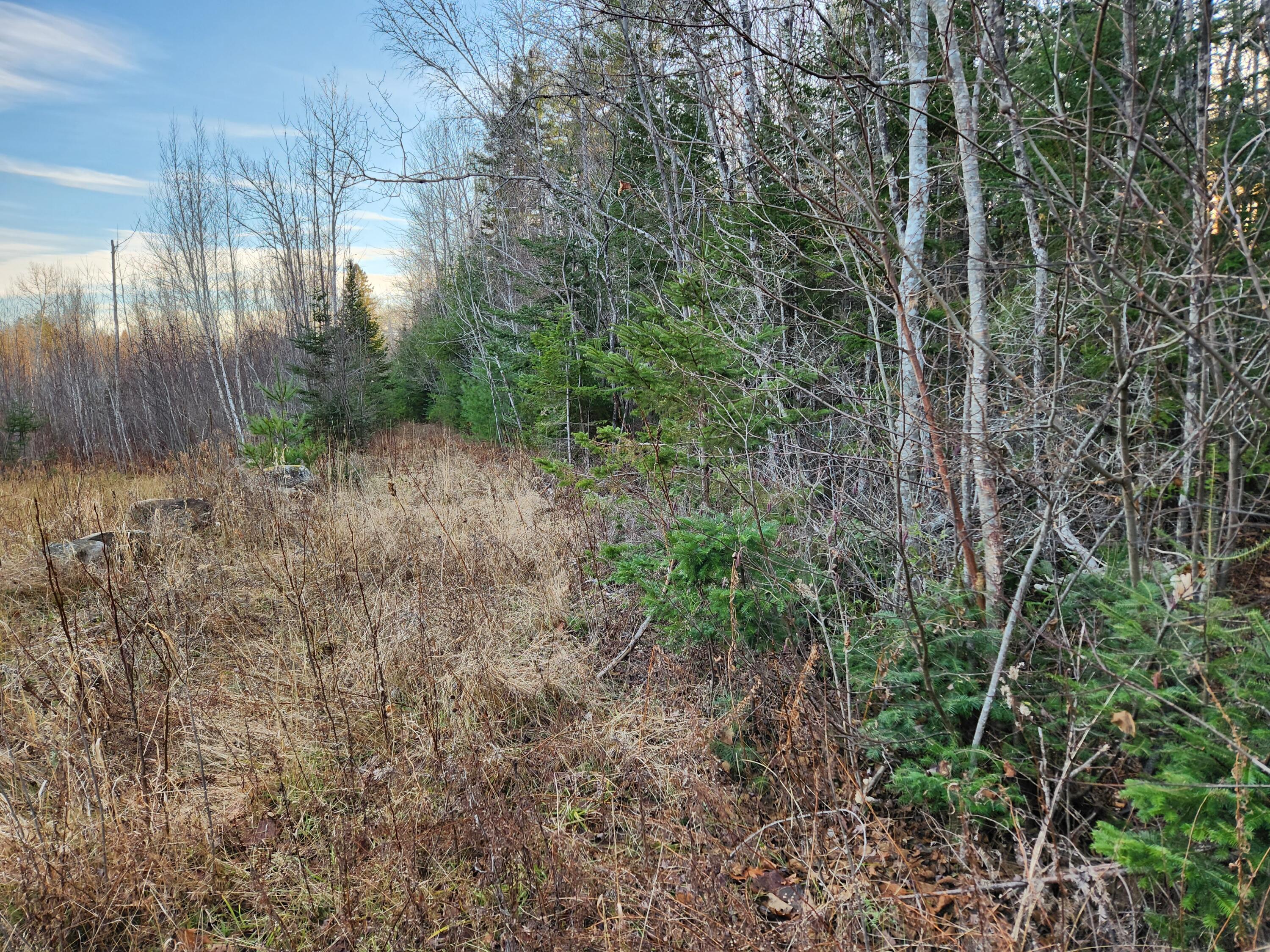 Map4-lot33 Edinburg Road Howland, ME 04448 - Photo 3 of 23 20231130_143754