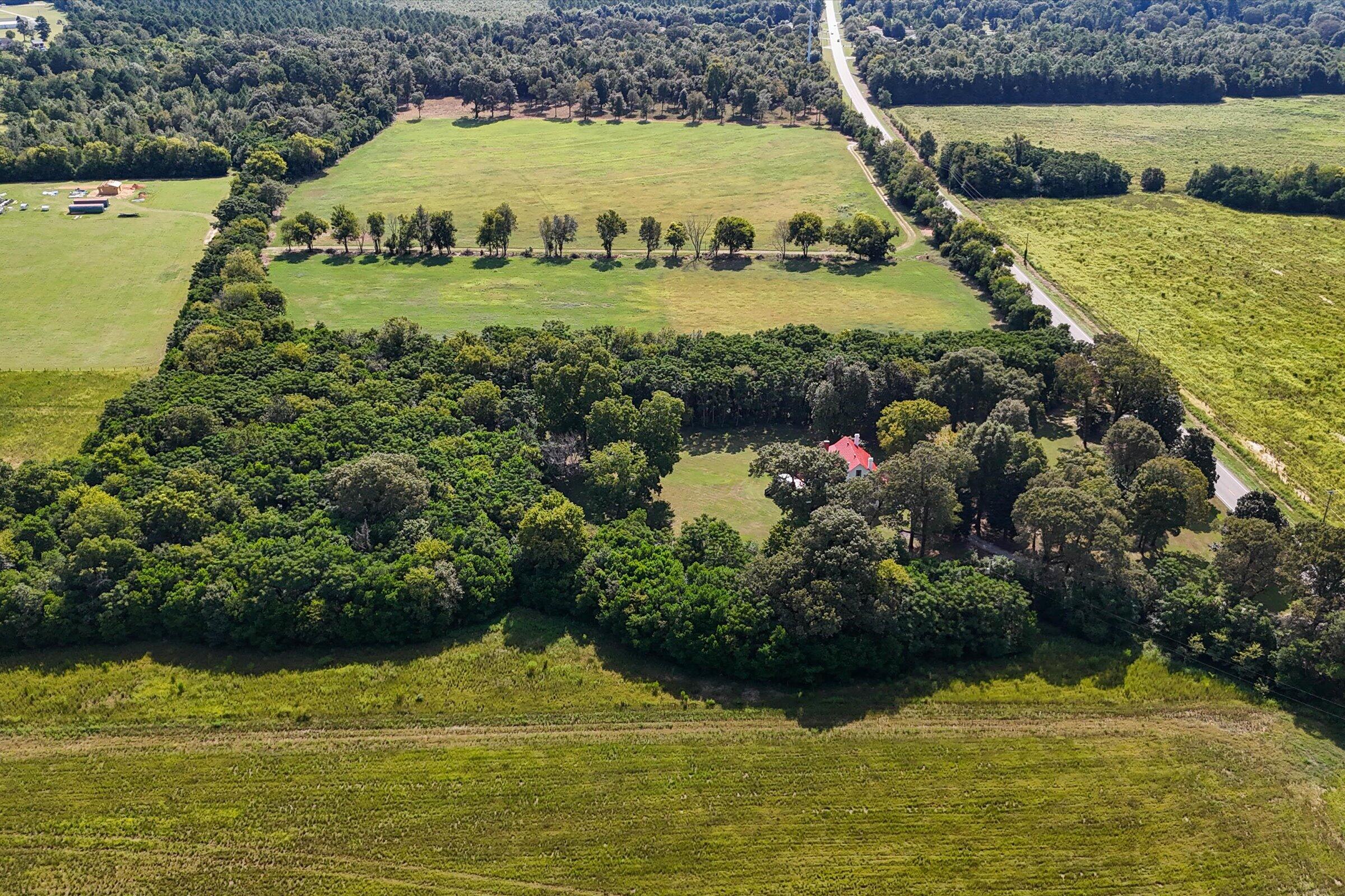 357 Williston Road Beech Island, SC 29842 - Photo 64 of 79