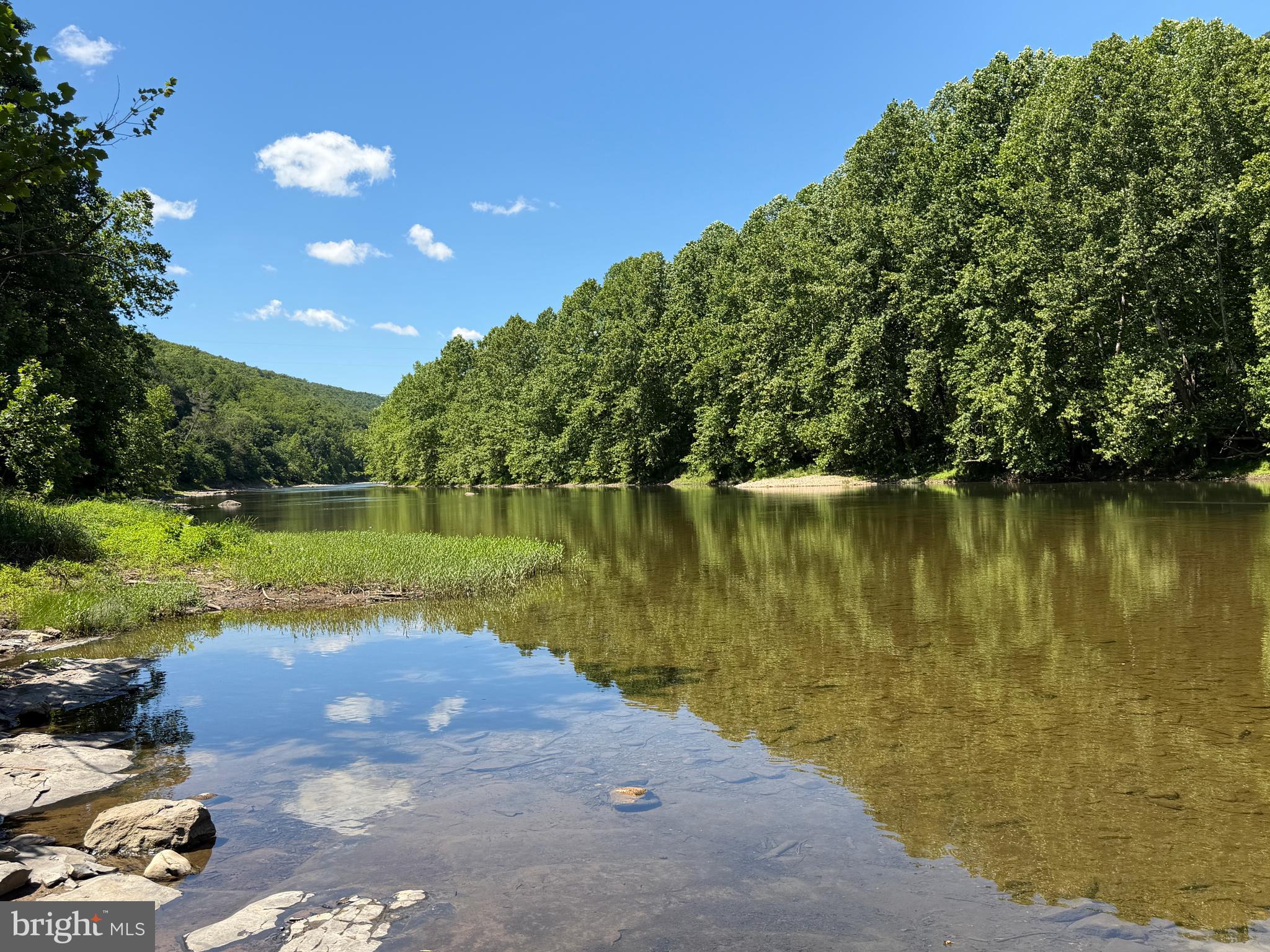5982 South Branch Mountain Road Moorefield, WV 26836 - Photo 81 of 141