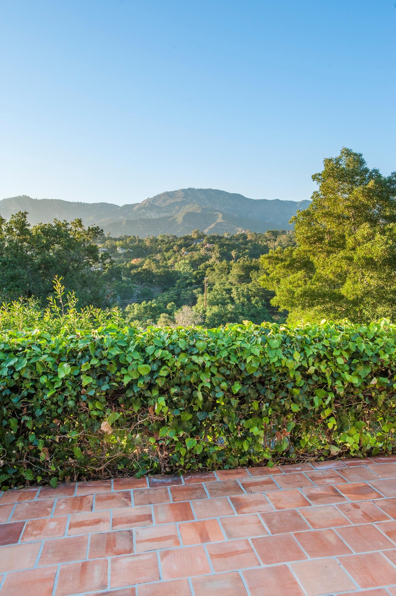 398 Mountain Drive Santa Barbara, CA 93103 - Photo 21 of 28 a view of a garden with a building in the background