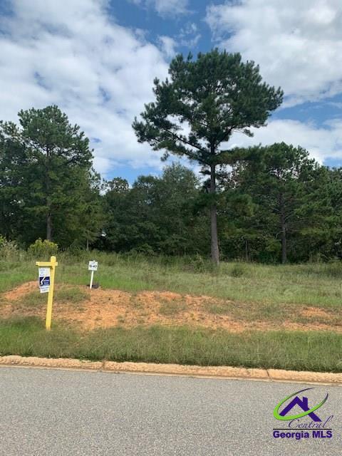 Lot 47 River Ridge Hawkinsville, GA 31036 - Photo 1 of 1