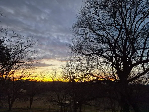 front view of a house with a street