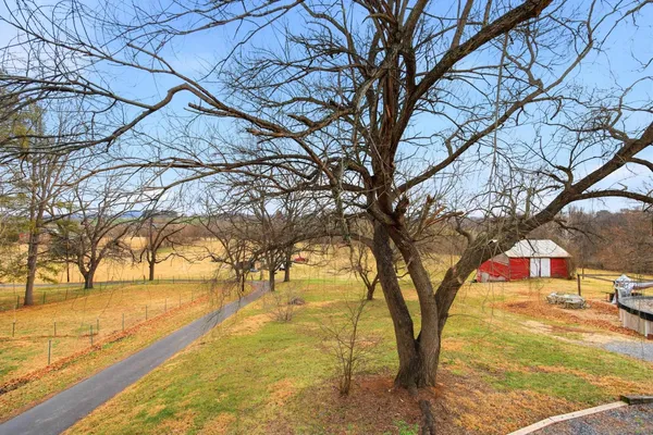 a view of yard with trees