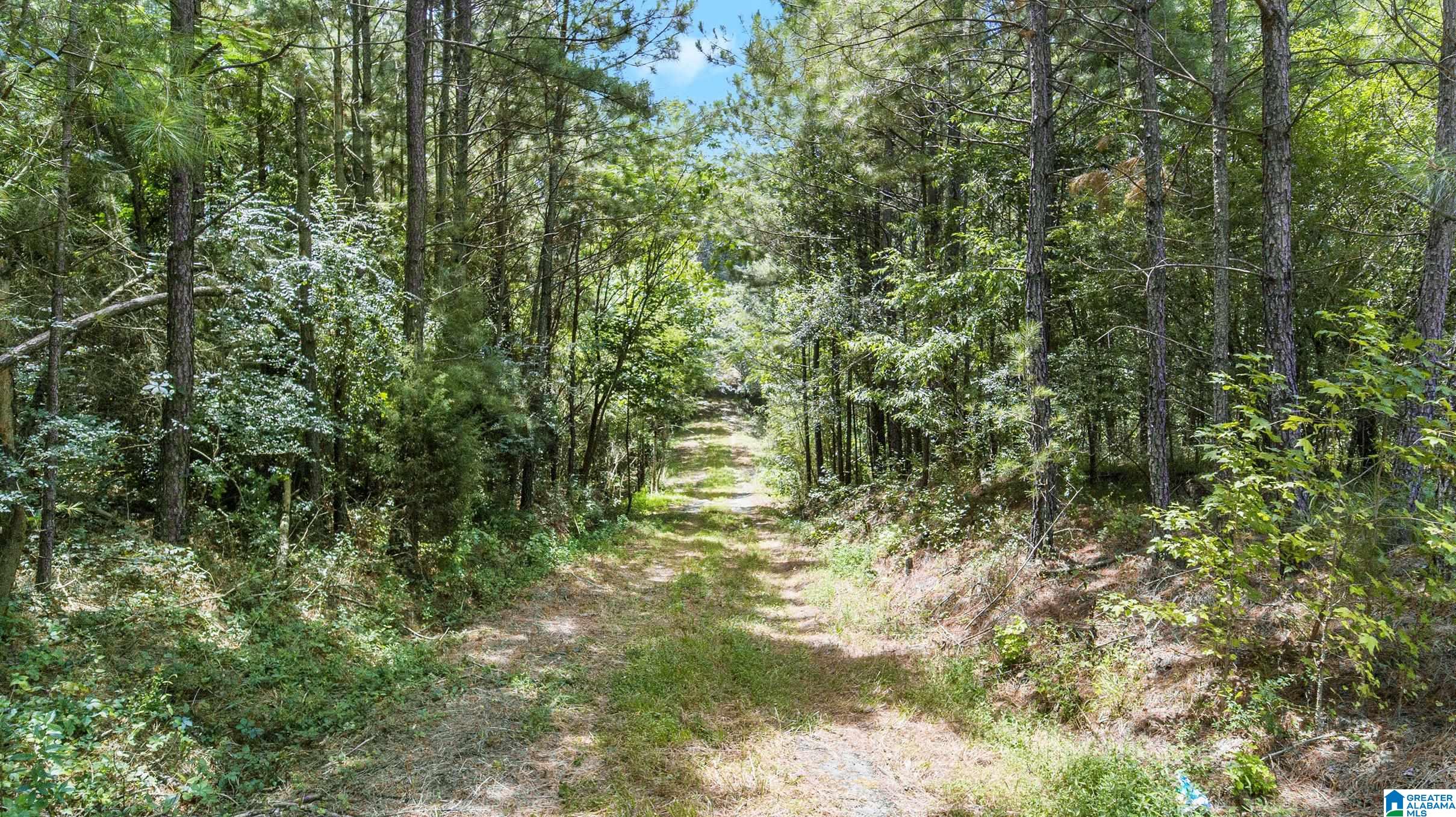 4430 15th Street Road Bessemer, AL 35023 - Photo 5 of 8