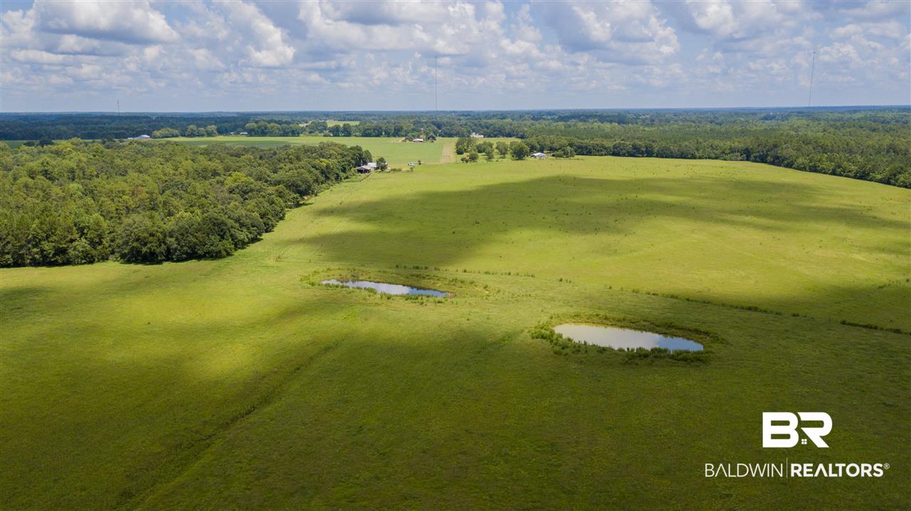 22290 Oak Tree Lane Robertsdale, AL 36567 - Photo 20 of 37